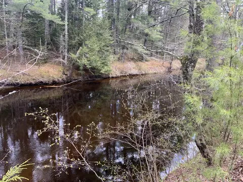 167 Maplewood Dr, Naples, ME 04055