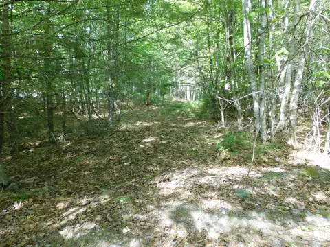 lot2 Big Lake Shores Rd, Greenlaw Chopping Twp, ME 04668