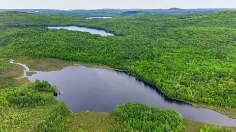 lot Apt Bucksmills Rd, Bucksport, ME 04416