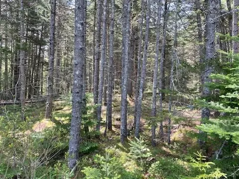 16 Woody Lane Ln, Cushing, ME 04563