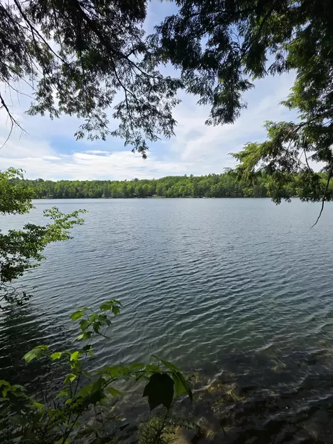 View/Area - 94 Adams Ln, Dedham, ME 04429 photo 1 of 5