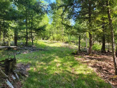 67 Bog Brook Rd, China, ME 04358