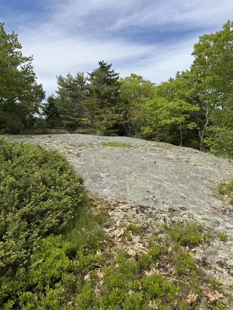Other - 63 Sebasco Rd, Phippsburg, ME 04562 photo 5 of 20