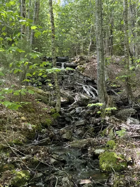 Other - 63 Sebasco Rd, Phippsburg, ME 04562 photo 2 of 19