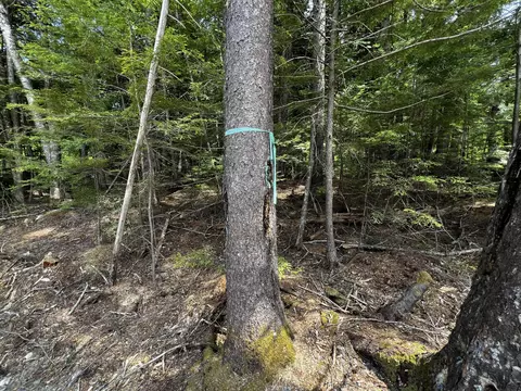Other - 206 Sandy Beach Rd, Danforth, ME 04424 photo 6 of 10