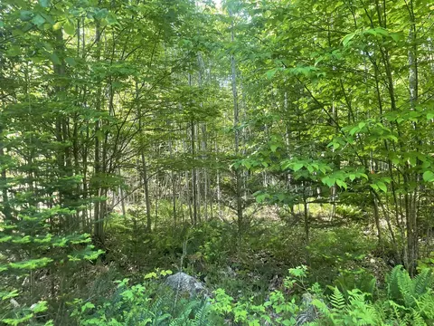 0 Macomber Rd, Readfield, ME 04355 photo 56