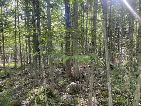 0 Macomber Rd, Readfield, ME 04355 photo 42
