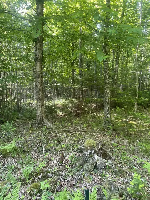 0 Macomber Rd, Readfield, ME 04355 photo 57