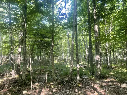 0 Macomber Rd, Readfield, ME 04355 photo 53