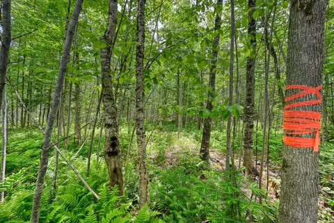 0 Macomber Rd, Readfield, ME 04355 photo 5