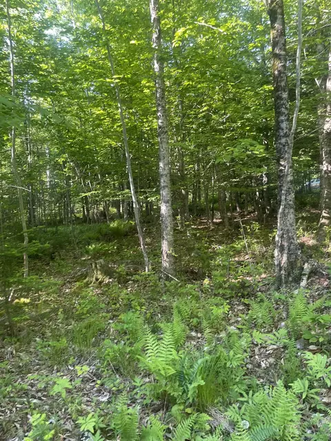 0 Macomber Rd, Readfield, ME 04355 photo 58