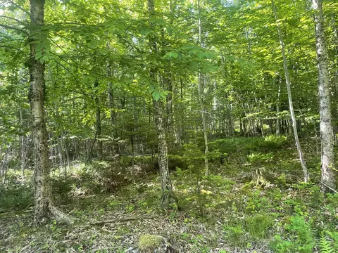0 Macomber Rd, Readfield, ME 04355 photo 59