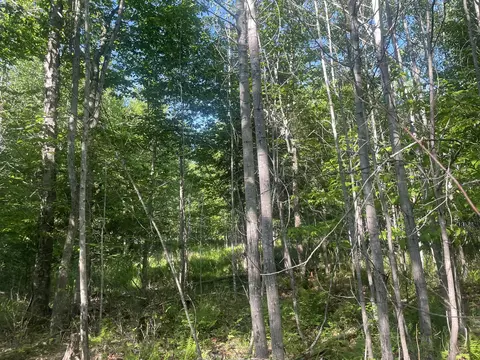 0 Macomber Rd, Readfield, ME 04355 photo 54