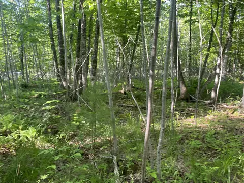 0 Macomber Rd, Readfield, ME 04355 photo 29