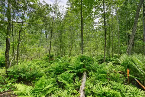 0 Macomber Rd, Readfield, ME 04355 photo 7