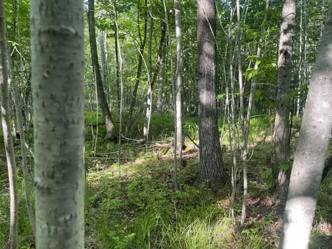 0 Macomber Rd, Readfield, ME 04355 photo 30