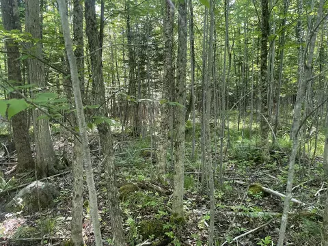 0 Macomber Rd, Readfield, ME 04355 photo 40