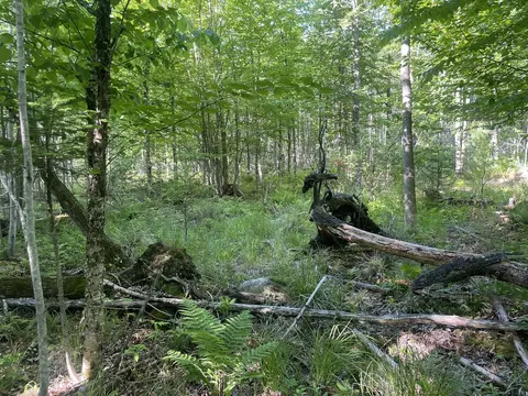 0 Macomber Rd, Readfield, ME 04355 photo 36