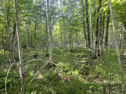 0 Macomber Rd, Readfield, ME 04355 photo 26