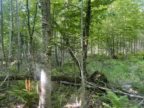 0 Macomber Rd, Readfield, ME 04355 photo 37