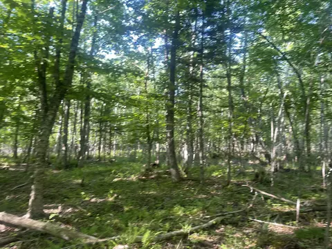 0 Macomber Rd, Readfield, ME 04355 photo 49