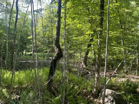0 Macomber Rd, Readfield, ME 04355 photo 35