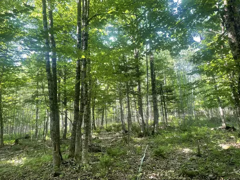 0 Macomber Rd, Readfield, ME 04355 photo 50