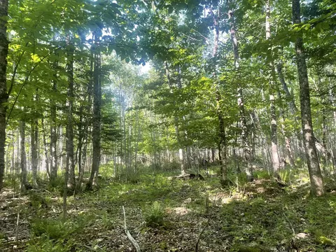 0 Macomber Rd, Readfield, ME 04355 photo 51