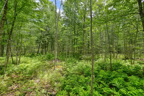 0 Macomber Rd, Readfield, ME 04355 photo 11