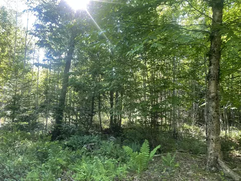 0 Macomber Rd, Readfield, ME 04355 photo 60