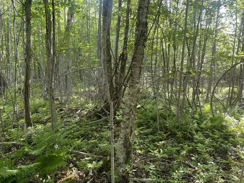 0 Macomber Rd, Readfield, ME 04355 photo 32