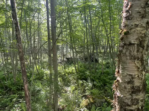 0 Macomber Rd, Readfield, ME 04355 photo 28