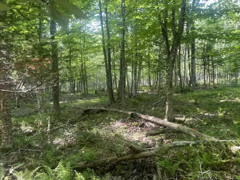 0 Macomber Rd, Readfield, ME 04355 photo 48