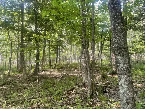 0 Macomber Rd, Readfield, ME 04355 photo 52