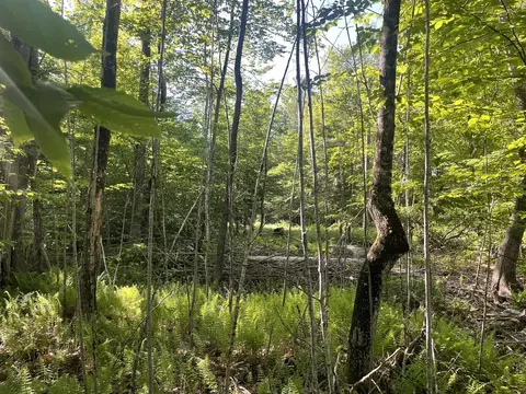 0 Macomber Rd, Readfield, ME 04355 photo 33