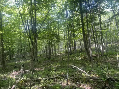 0 Macomber Rd, Readfield, ME 04355 photo 46