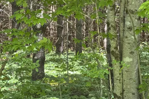 lot23 Mountain View Ln, Hope, ME 04847