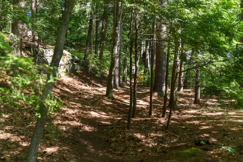 23 Old Rd, Gray, ME 04039 photo 58