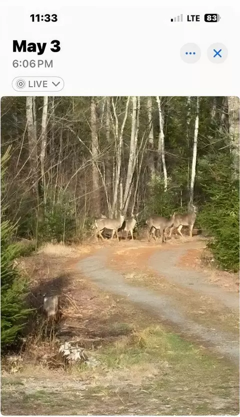 Other - 3 Gray Rd, Harmony, ME 04942 photo 13 of 14