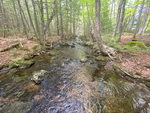 783 Half Township Rd, Lincoln, ME 04457