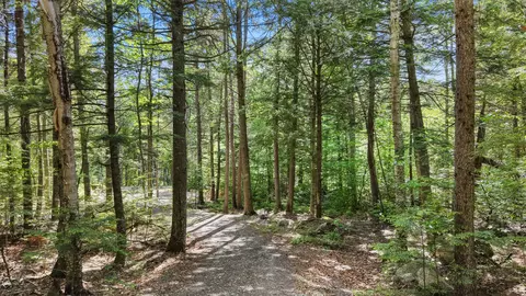 19 Brown Rd, Danforth, ME 04424 photo 7