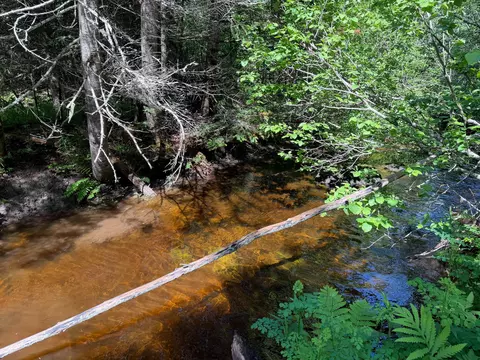 140 E Madrid Rd, Phillips, ME 04966 photo 9