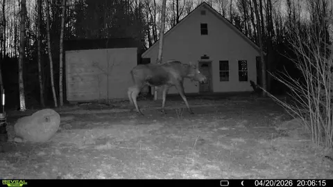 Exterior - Off Route 192, Wesley, ME 04686 photo 8 of 9