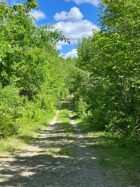 Other - Off Route 192, Wesley, ME 04686 photo 19 of 20