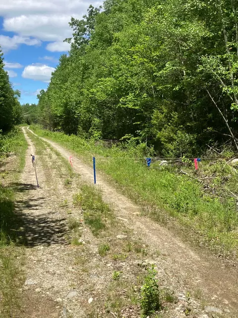 Off Route 192, Wesley, ME 04686