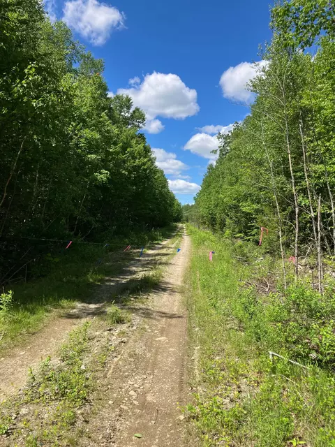 Other - Off Route 192, Wesley, ME 04686 photo 20 of 20