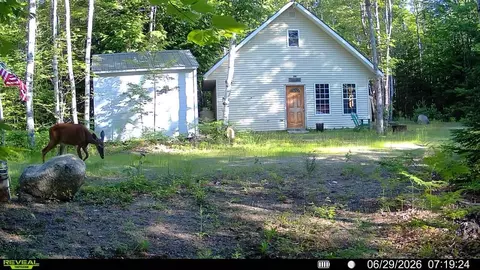 Exterior - Off Route 192, Wesley, ME 04686 photo 9 of 9