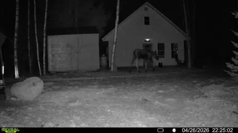 Exterior - Off Route 192, Wesley, ME 04686 photo 6 of 9