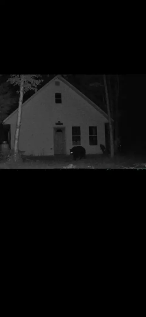 Exterior - Off Route 192, Wesley, ME 04686 photo 9 of 10