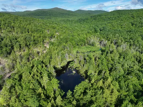 1 Dow Brook Road # 10, Peru, ME 04290